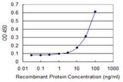PHF11 Antibody (3B8), Novus Biologicals 0.1 mg | Buy Online | Novus Biologicals | Fisher Scientific