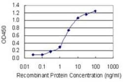 PHIP Antibody (4D7), Novus Biologicals 0.1 mg | Buy Online | Novus Biologicals | Fisher Scientific