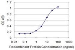 PHLDA1 Antibody (3A5), Novus Biologicals 0.1 mg; Unconjugated:Antibodies,