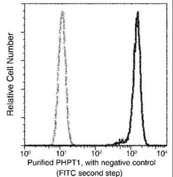 PHPT1 Rabbit anti-Human, Clone: 1, Novus Biologicals 50 &mu;g; Unconjugated:Antibodies,