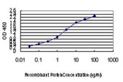 PIK3R4 Antibody (1G12), Novus Biologicals 0.1 mg | Buy Online | Novus Biologicals | Fisher Scientific