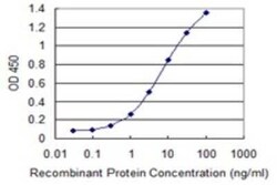 PIN/DLC8 Antibody (1H7), Novus Biologicals 0.1 mg | Buy Online | Novus Biologicals | Fisher Scientific