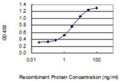 PLA2G7/PAF-AH/Lp-PLA2 Antibody (5B9), Novus Biologicals 0.1 mg, Unconjugated:Antibodies,