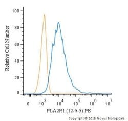 PLA2R1 Antibody (12-6-5) - Azide and BSA Free, Novus Biologicals 0.1 mL;