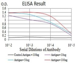 PLC-gamma 1 Antibody (2F3D11) - BSA Free, Novus Biologicals:Antibodies:Primary