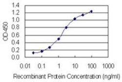 PLRG1 Antibody (7H2), Novus Biologicals 0.1 mg | Buy Online | Novus Biologicals | Fisher Scientific