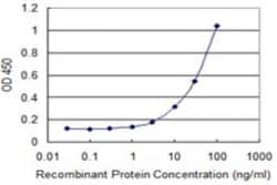 PMCH Antibody (1D1), Novus Biologicals 0.1 mg; Unconjugated:Antibodies,