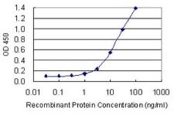 POLR2F Antibody (2G2), Novus Biologicals 0.1 mg | Buy Online | Novus Biologicals | Fisher Scientific