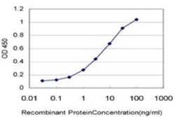 POLR3K Antibody (3F5), Novus Biologicals 0.1 mg, Unconjugated:Antibodies,