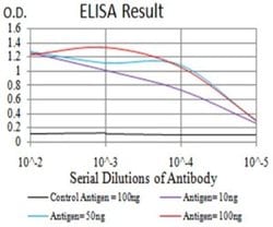 POMC Antibody (6D2B5) - BSA Free, Novus Biologicals:Antibodies:Primary