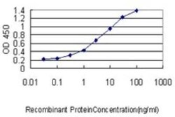 PPAR delta/NR1C2 Antibody (4E3-1B11), Novus Biologicals 0.1 mg | Buy Online | Novus Biologicals | Fisher Scientific