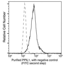 PPIL1 Antibody (08), Novus Biologicals:Antibodies:Primary Antibodies