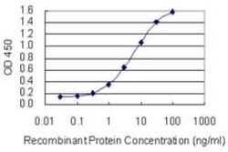 PPP1R14B Antibody (4G2), Novus Biologicals 0.1 mg | Buy Online | Novus Biologicals | Fisher Scientific