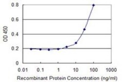 PRDM4 Antibody (3C4), Novus Biologicals 0.1 mg | Buy Online | Novus Biologicals | Fisher Scientific