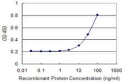 PRDM4 Antibody (4H7), Novus Biologicals 0.1 mg | Buy Online | Novus Biologicals | Fisher Scientific