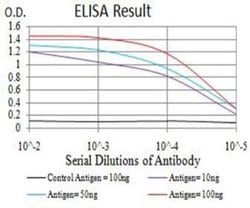 PRKAG3 Antibody (1C5D10) - BSA Free, Novus Biologicals 0.1 ml; Unconjugated:Antibodies,