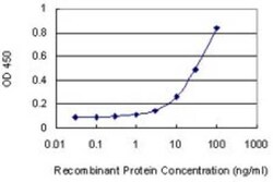Novus Biologicals PRKX Antibody (1H7), Novus Biologicals 0.1 mg | Buy Online | Novus Biologicals&trade; | Fisher Scientific