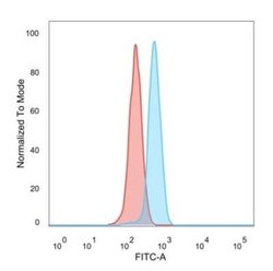 PRMT6 Mouse anti-Human, Clone: PCRP-PRMT6-2C9, Novus Biologicals:Antibodies:Primary