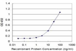 PRODH Antibody (3A9), Novus Biologicals 0.1 mg | Buy Online | Novus Biologicals | Fisher Scientific