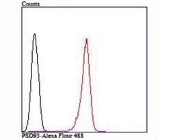 PSD93 Rabbit anti-Human, Mouse, Rat, Clone: JM41-04, Novus Biologicals