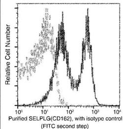 PSGL-1/CD162 Rabbit anti-Mouse, Clone: 1, Novus Biologicals 100 &mu;g;