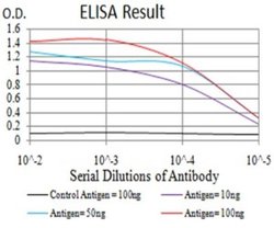 PSMC3 Antibody (1G10C9) - BSA Free, Novus Biologicals 0.1 ml; Unconjugated:Antibodies,