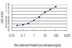 PTK9 Antibody (1D12), Novus Biologicals 0.1 mg | Buy Online | Novus Biologicals | Fisher Scientific
