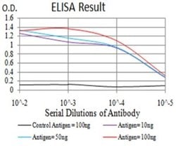 PTPN14/PTPD2 Antibody (2C12E3) - BSA Free, Novus Biologicals 0.1 ml; Unconjugated:Antibodies,