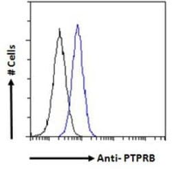PTPRB Antibody, Novus Biologicals 0.1 mg; Unconjugated:Antibodies, Polyclonal