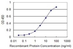 PTPRN2 Antibody (1C5), Novus Biologicals 0.1 mg | Buy Online | Novus Biologicals | Fisher Scientific