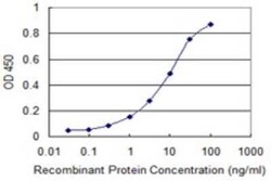 PTPRN2 Antibody (4B9), Novus Biologicals 0.1 mg | Buy Online | Novus Biologicals | Fisher Scientific