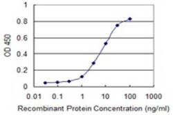 Novus Biologicals PTPRN2 Antibody (7F8), Novus Biologicals 0.1 mg | Buy Online | Novus Biologicals&trade; | Fisher Scientific