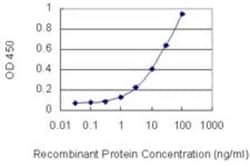 PTPRO Antibody (3F4), Novus Biologicals 0.1 mg | Buy Online | Novus Biologicals | Fisher Scientific