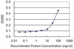 PURA Antibody (3A9), Novus Biologicals 0.1 mg | Buy Online | Novus Biologicals | Fisher Scientific