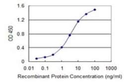 Pallidin Antibody (2H8), Novus Biologicals 0.1 mg | Buy Online | Novus Biologicals | Fisher Scientific