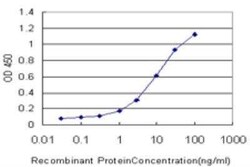 Pancreatic Lipase Related Protein 2 Antibody (4F10), Novus Biologicals 0.1 mg | Buy Online | Novus Biologicals | Fisher Scientific