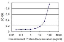 Pannexin-1 Antibody (2E3), Novus Biologicals 0.1 mg | Buy Online | Novus Biologicals | Fisher Scientific