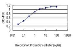Pbx3 Antibody (1A9), Novus Biologicals 0.1 mg, Unconjugated:Antibodies,