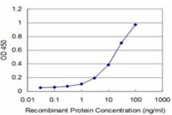 Novus Biologicals Pbx3 Antibody (2E12), Novus Biologicals 0.1 mg | Buy Online | Novus Biologicals&trade; | Fisher Scientific
