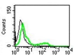 Perforin Mouse anti-Human, Clone: B-D48, Novus Biologicals 200 &mu;g; Unconjugated:Antibodies,