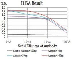 Phospholipase D2 Antibody (7E4D9) - BSA Free, Novus Biologicals 0.1 ml;