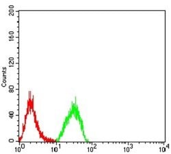 Phospholipase D2 Antibody (7E4D9) - BSA Free, Novus Biologicals 0.1 ml;
