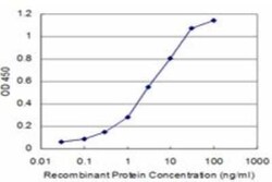 Phosphoserine phosphatase Antibody (3A5), Novus Biologicals 0.05 mg | Buy Online | Novus Biologicals | Fisher Scientific