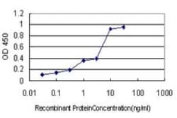 Pin1 Antibody (5A8), Novus Biologicals 0.1 mg, Unconjugated:Antibodies,
