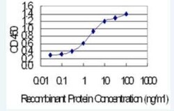 Plakophilin-3 Antibody (6E5), Novus Biologicals 100 &mu;g | Buy Online | Novus Biologicals | Fisher Scientific
