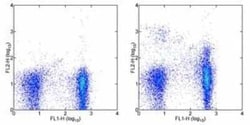 Plexin B2 Antibody (3E7) - BSA Free, Novus Biologicals 0.1 mg; Unconjugated:Antibodies,