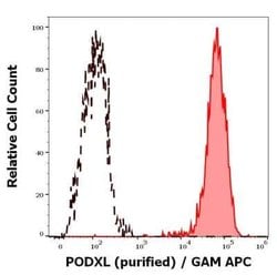 Podocalyxin Like Antibody (PcMab-47) - BSA Free, Novus Biologicals 0.1 mg | Buy Online | Bio-Techne | Fisher Scientific