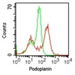 Podoplanin Antibody (pmab-1) - Azide and BSA Free, Novus Biologicals 0.1
