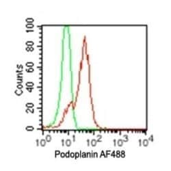 Podoplanin Antibody (pmab-1) - Azide and BSA Free, Novus Biologicals 0.1