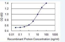 Prolyl Oligopeptidase/PREP Antibody (2D7), Novus Biologicals 0.1 mg | Buy Online | Novus Biologicals | Fisher Scientific